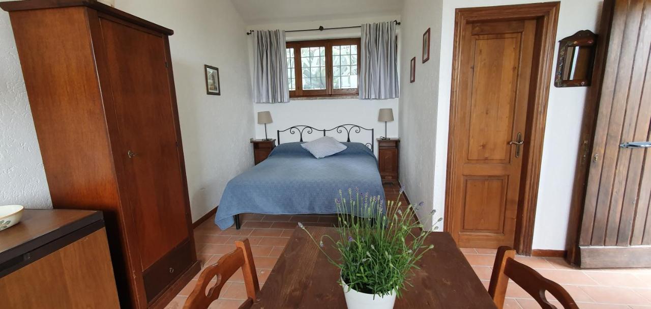 Poloturisticoumbria Rustico Con Piscina Vista Lago Passignano sul Trasimeno Kültér fotó